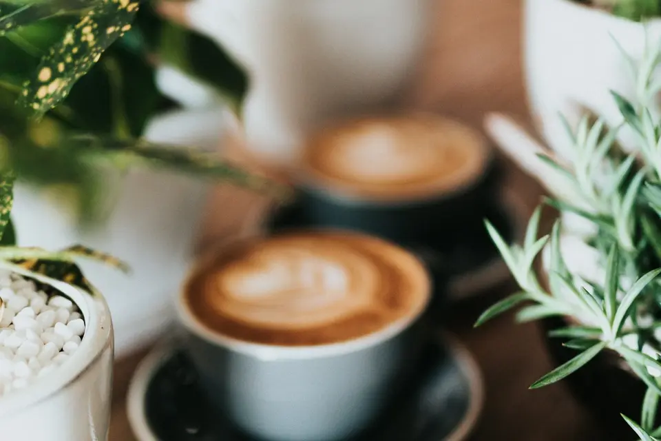 Blue Hour Coffee demo restaurant — Specialty coffee house